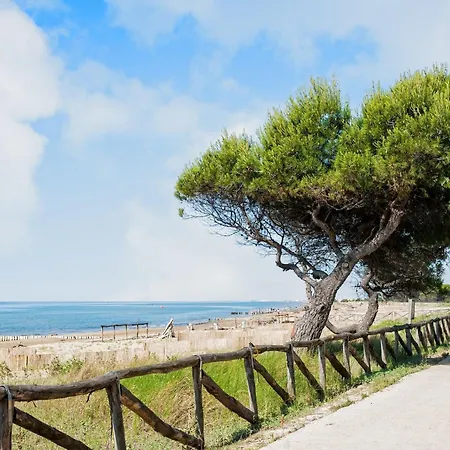 Only 100mt From The Villa Lo Stallone